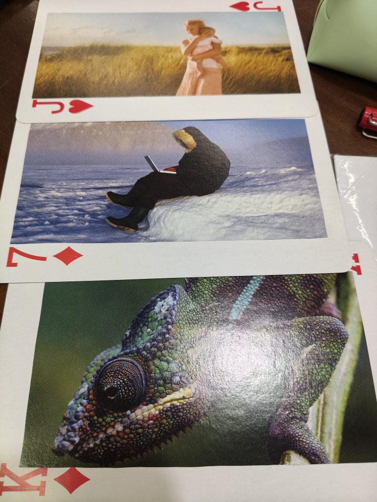 Una foto de tres cartas de poker que tienen ilustraciones. Las cartas están sobre una mesa desplegadas una encima de la otra. En la carta superior se ve a una mujer en medio de un campo de tonos marrones sujetando a un bebé con ternura. En la de en medio se ve a una persona vestida con ropa muy abrigada, su cara queda oculta por la capucha con pelitos. Esta sentada en el borde de un bloque de hielo escribiendo en un portátil. En la tercera carta se ve un primer plano de un camaleón